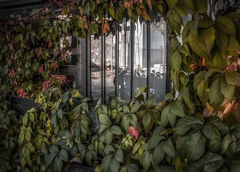 A small window in autumn Stock Photos