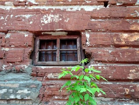 A small window in an old wall of red brick and a green tree beside it Stock Photos
