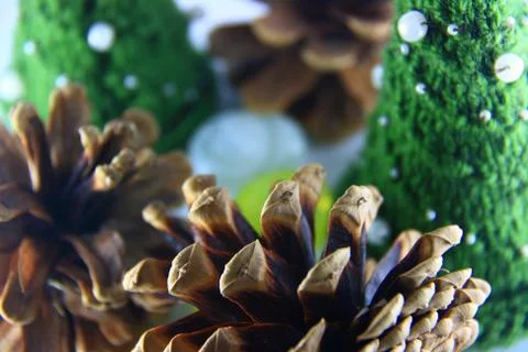 Small winter Stock Photos