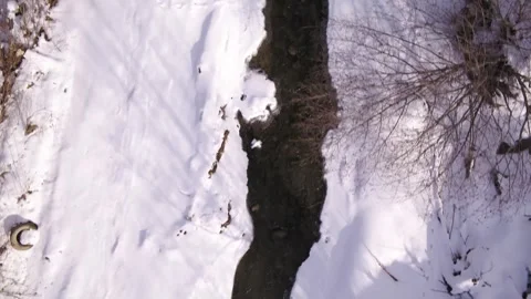 Small winter river Stock Footage 255181308