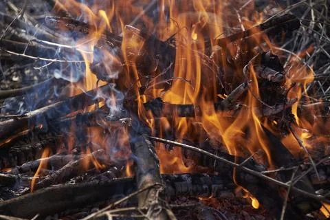 A small wood fire in the field Stock Photos