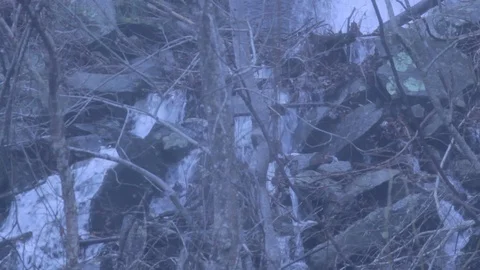 Small Wooded Waterfall Stock Footage 100945045