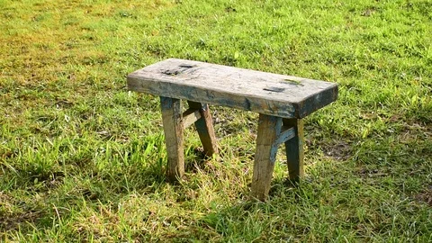 Small wooden bench on the grass Stock Footage 118906243