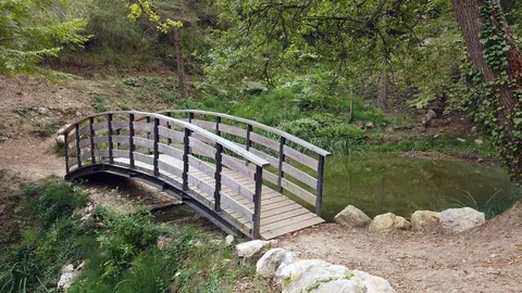 Small Wooden Bridge Stock Footage 116415078
