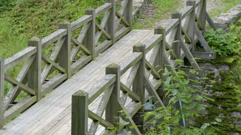 The small wooden bridge in the middle of the forest Stock Footage 142401680