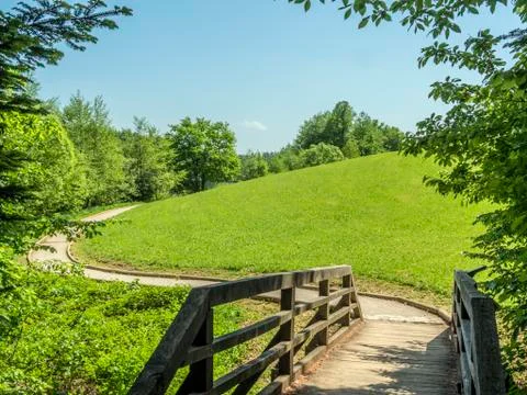 Small wooden bridge on nature walking path beside small pond. Stock Photos