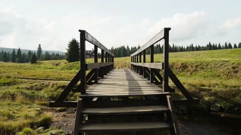 Small wooden bridge over a river in czech mountains Stock Footage 207822982