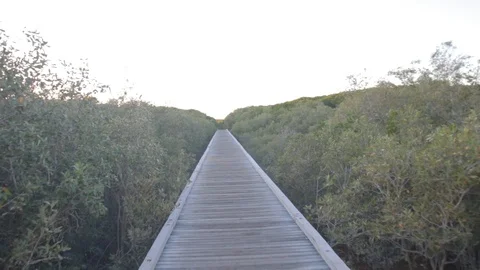 Small wooden jetty/pier 스톡 동영상 111719800