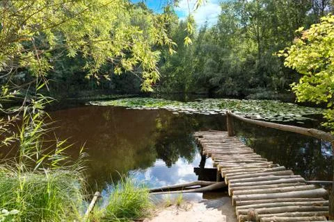 A small wooden pier from solid logs on a summer pond Stock Photos