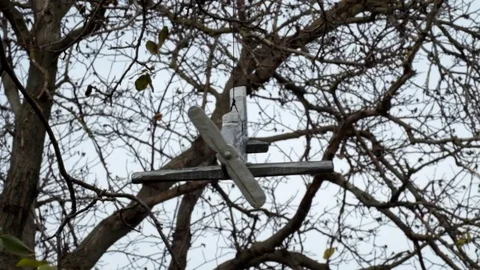 Small wooden plane hangs on a tree and rotates in the wind Stock Footage 82073074
