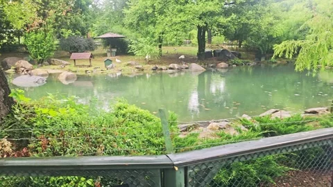 A small wooden structure with. Stock Footage 282632177