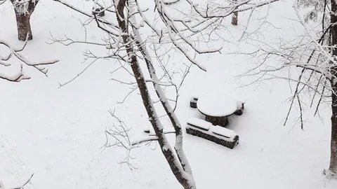 Small wooden table under a snowfall in a winter park with snow covered trees. to Stock Footage 85699197