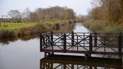 Small wooden viewing platform or dock on a calm, narrow canal or river Stock Footage 319791623