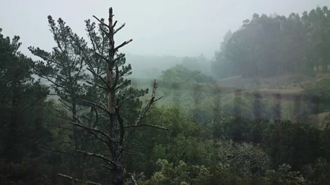 Small Wooden Wagon in the Rain 스톡 동영상 85100904