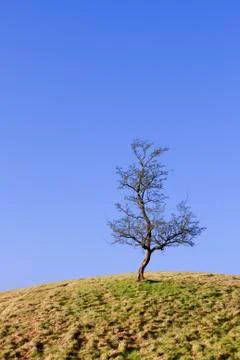 A small world lonely Stock Photos