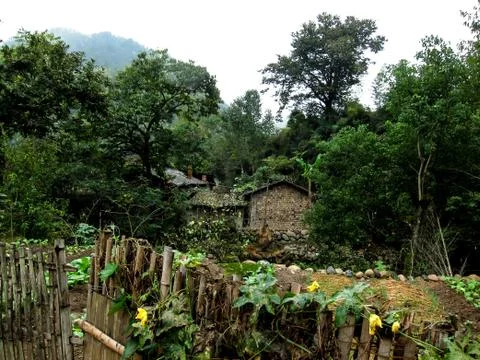 A Small Yard with Crops Stock Photos