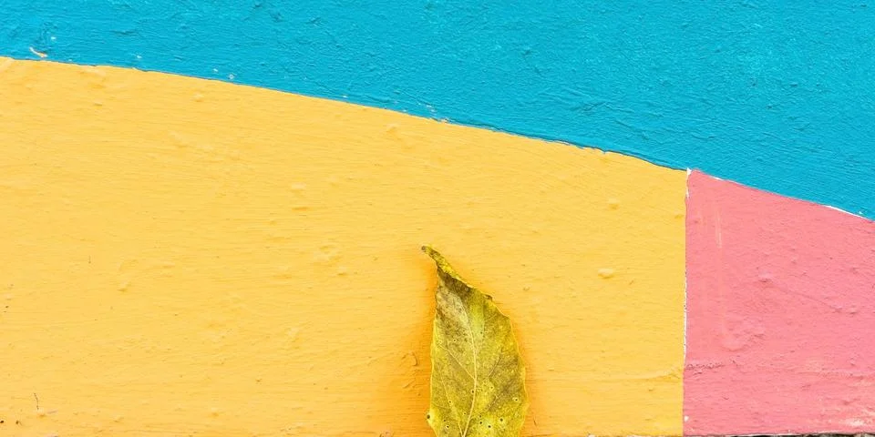 Small yellow dry fall leaf isolated on a colorful wall - perfect for backgrou 写真素材