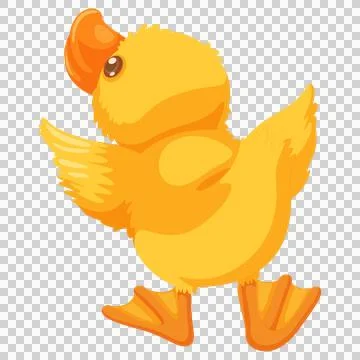 Small yellow duckling looking up with wings spread wide. 库存插图