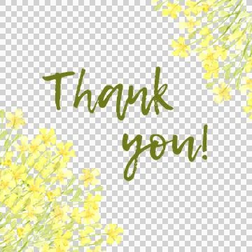 Small yellow flowers corner frame with text thank you in watercolor Stock Illustration