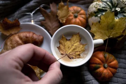 Small yellow maple leaf in hand against autumn breakfast background Stock Photos
