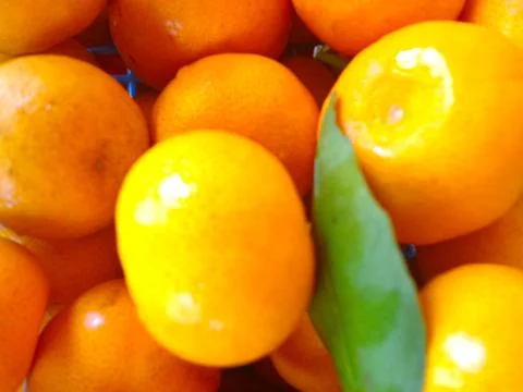 Small yellow oranges Stock Photos