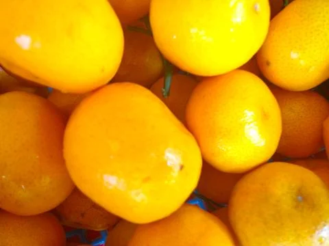 Small yellow oranges Stock-Fotos
