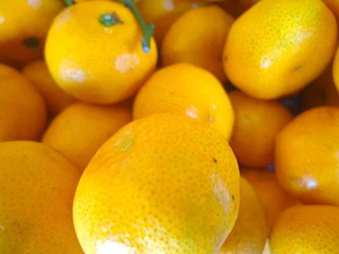 Small yellow oranges Stock Photos