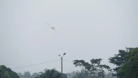 A small yellow plane turns over the runway, near palm trees, Cameroon, Africa Stock Footage 261965227