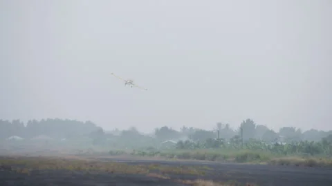 A small yellow plane turns over the runway, near palm trees Stock Footage 261965365
