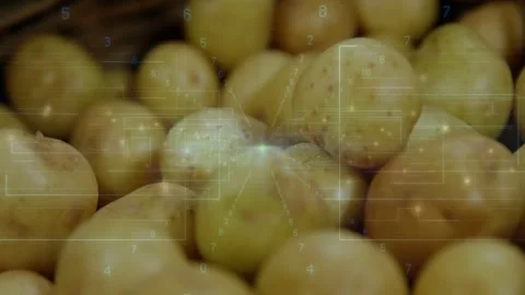 Small yellow potatoes shifting focus as HUD pulse starting camera racking across Stock Footage 332936941