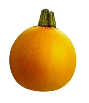 Small yellow round squash isolated on white 写真素材