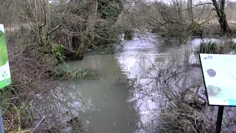 Smallbrook Meadows, Warminster, UK, Flood 動画素材 270160787