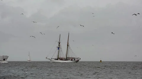 Smaller ships sailing around during the Sail Den Helder 2013 Stock Footage 30440040