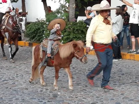 The smallest at the parade Stock Photos