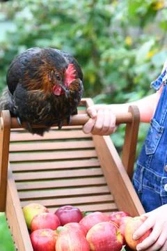 Smallholdings Stock Photos