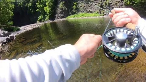 Smallmouth hookset and fight2 Stock-Footage 336144927