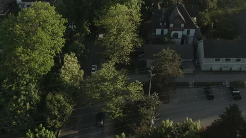 Smalltown street lined with trees Vídeos de archivo 154656955