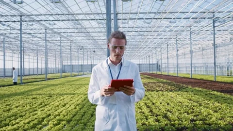 Smart agriculture. Artificial intelligence in greenhouse business. Caucasian Stock Footage 139548259