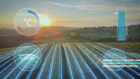 Smart agriculture, drone analyzing grape plants rows at a vineyard Foto stock
