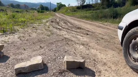 Smart Bird Protects Eggs By Feigning Injury, Kosovo - 28 Jun 2022 Video stock 205439798