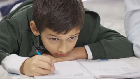 Smart Boy doing his homework lying at home Stock Footage 220639131