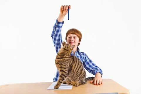 Smart boy learning for school has a break and plays with his cat Stock Photos