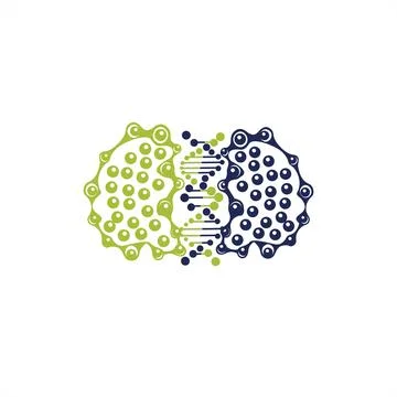 Smart brain DNA helix transfer system logo and vector icon Stock Illustration