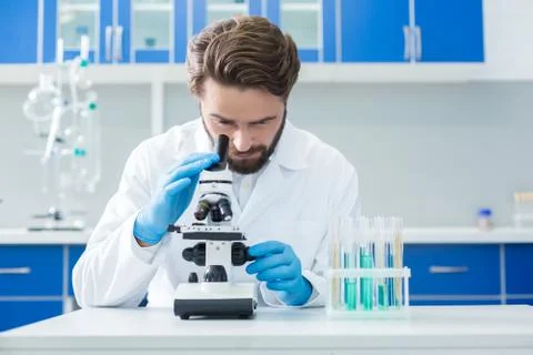 Smart confident scientist looking into the microscope Stock Photos