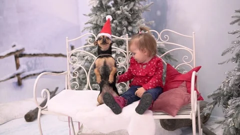 Smart Dog And Child Stock Footage 224948352