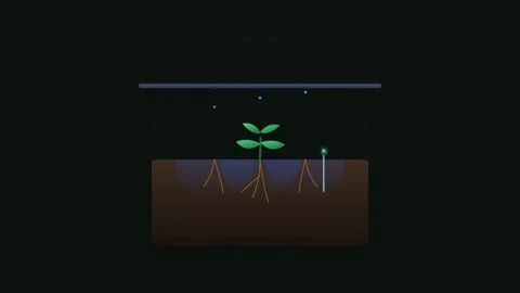 Smart Drip Irrigation System with Active Water Droplets and Digital Soil Se.. Stock-Footage 346130075