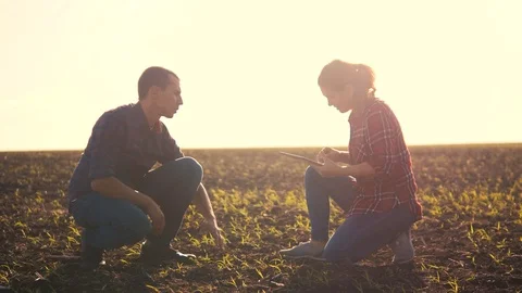 Smart eco farming teamwork using modern technologies in agriculture. farmers man Video stock 117420598