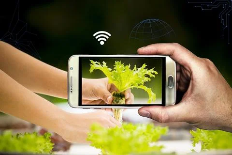Smart farm digital data technology Stock Photos