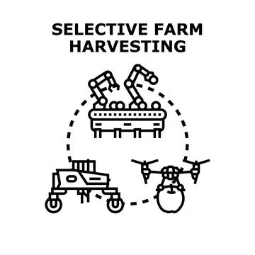 Smart farm selective harvesting using automation and drones 스톡 일러스트