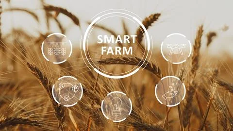 Smart farm system showcases technology for crop management using data in Stock Photos